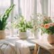 spring decor home trends