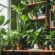 stylish indoor plants transformation