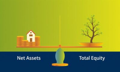 net assets vs equity difference