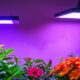 top indoor plant grow lamps