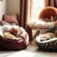 ultimate comfort cat beds