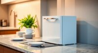 compact and efficient dishwashers