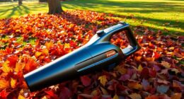 top leaf blowers 2025