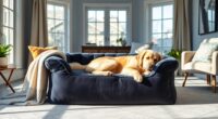 ultimate comfort for dogs