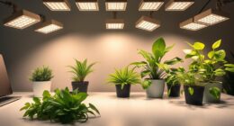 top desk plant grow lights