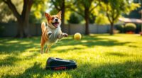 top automatic dog ball launchers