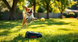top automatic dog ball launchers