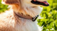 top gps dog collars