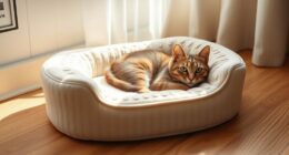 top luxury cat bed choices