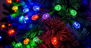 top matter compatible holiday lights