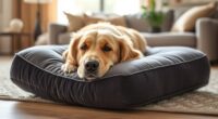 top orthopedic dog pillows