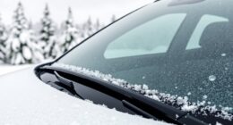 top magnetic frost guards