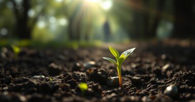 transform habits achieve more