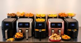 affordable crispy fryer options