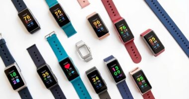 affordable fitness tracker options