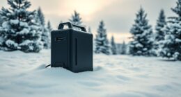 cold weather portable power