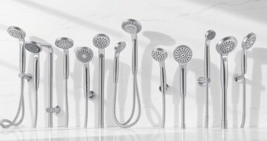 luxurious handheld shower options