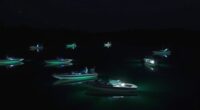 night fishing bait boat recommendations