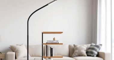 stylish shelving floor lamps