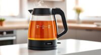 top electric kettles with temperature control
