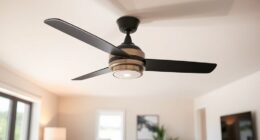 top low ceiling fan picks