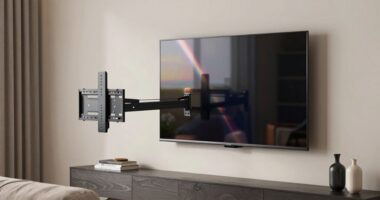 top 15 flexible wall mounts