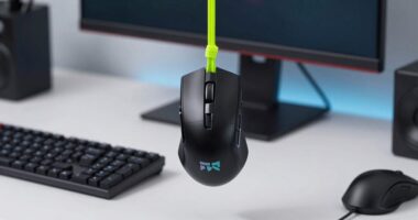 top mouse bungee picks
