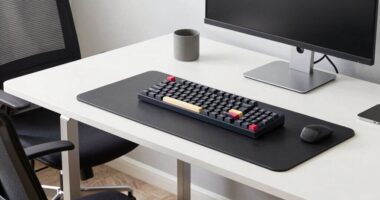 ergonomic workspace accessory importance
