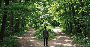 improve future decision making skills