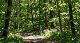 overcoming stagnation through action