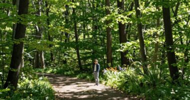 overcoming stagnation through action