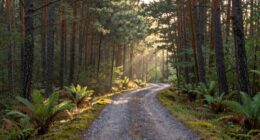 pause to enhance concentration