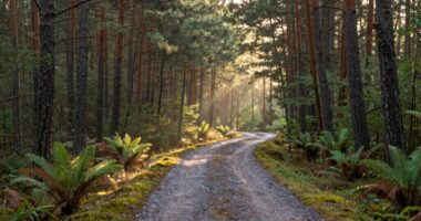 pause to enhance concentration