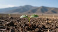 small victories over grand plans