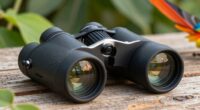 top bird watching binoculars