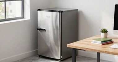 top mini fridges 2026